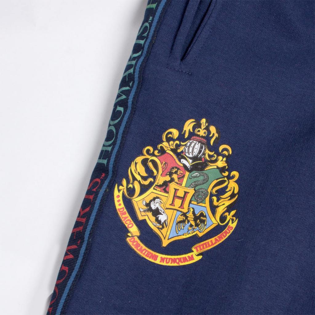 EPLUSM Tepláky HARRY POTTER modré, vel. 134