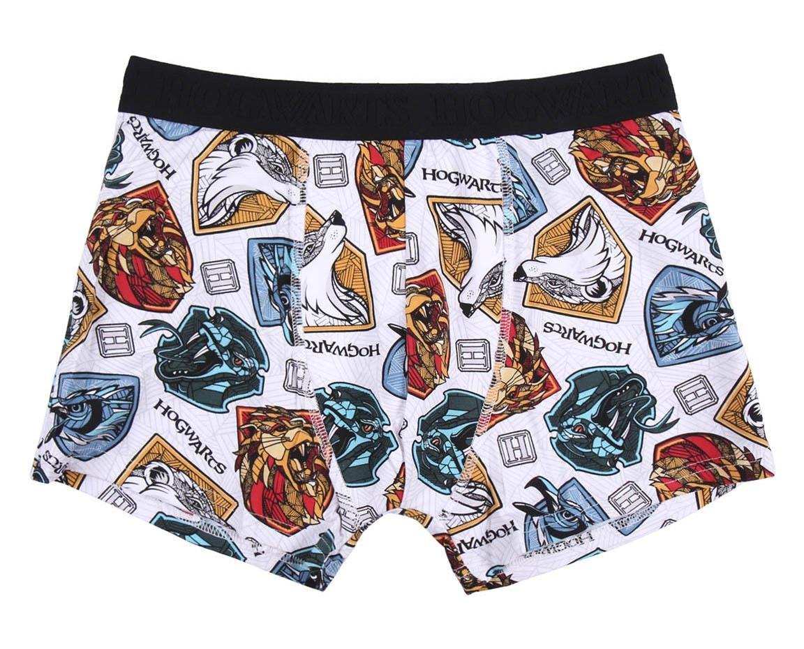 CERDA Boxerky HARRY POTTER 2pack, vel. M/L