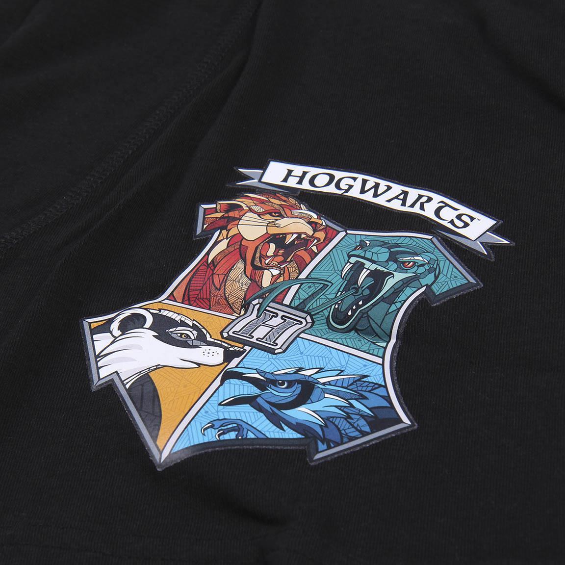 CERDA Boxerky HARRY POTTER 2pack, vel. L/XL