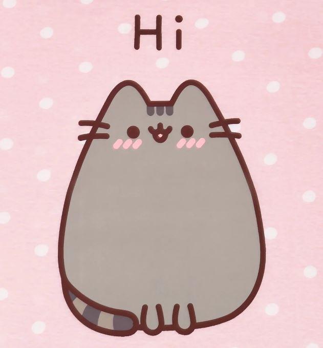 EPLUSM Noční košilka PUSHEEN růžová, vel. XS